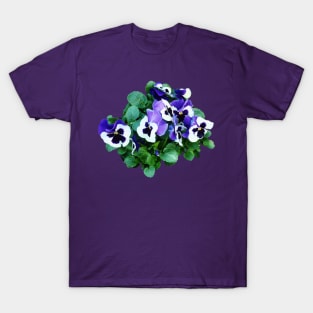 Pansies - Bunch of Purple and White Pansies T-Shirt